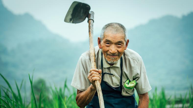 农村养老金为何不能提高到800块?这不是简单的经济问题